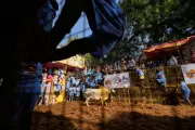 Jallikattu: Tamil Nadu's Ancient Bull Festival Thrives Amidst Controversy