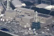 Japan's nuclear watchdog halts Hamaoka plant review over faked seismic data