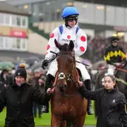 Kalif Du Berlais Dies: Paul Nicholls Pays Tribute to Sir Alex Ferguson's Star Horse