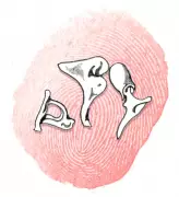 Kids' Quiz: Can You Answer the Smallest Bone Question?