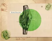 Knee Health: Expert Physio Advice to Avoid Injury & Surgery