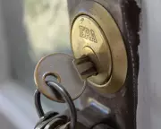 Labour Leader Criticises Green Party's Housing Policy as Brighton Council Implements It