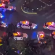 Las Vegas Strip Lockdown: Dozens of Police Cars Surround Bellagio and Paris Hotels