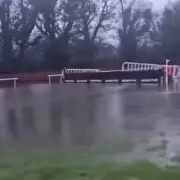 Leopardstown Battles Waterlogging as 60mm Rain Threatens Dublin Racing Festival