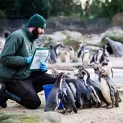 London Zoo's 200th Year Stocktake: 8,000 Animals Counted in Freezing Temperatures