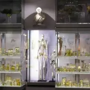 London's Hunterian Museum: A Stark Warning for Visitors Over Human Remains