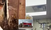 Louisiana Wendy's Staff Forced to Work Amid Black Mold and Collapsing Walls