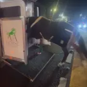 M6 Shut for Dramatic Horse Rescue After Wolverhampton Race