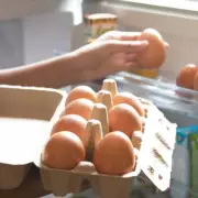 Mary Berry Endorses American Fridge Storage for Eggs with Vital Warning