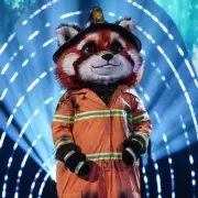 Masked Singer Fans Convinced Red Panda Is Simon Le Bon After Clue Analysis
