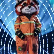 Masked Singer's Red Panda Identity 'Revealed' After Sensitive Axing