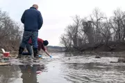 Massive Sewage Pipe Collapse Pollutes Potomac River Near Washington D.C.