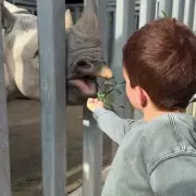 Meghan Markle shares rare family moments as Prince Harry returns to UK for trial