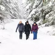 Met Office Snow Warning: 40 UK Areas Braced for Wintry Blast