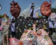 Microplastics Health Crisis: Scientists Urged to Unite Amid Research Dispute