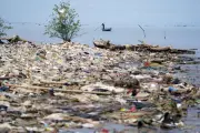 Microplastics Weaken Ocean's Carbon Absorption, Study Warns