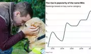 Milo Soars to Second Place in UK's Most Popular Dog Names for 2025