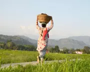 Modi's Rural Jobs Overhaul Risks Repeating Farm Protest Crisis