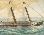 Monarchy's Slave Trade Role Exposed: Crown Was World's Largest Buyer