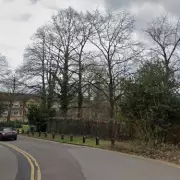 Murder Investigation in Guildford After Teenager Found Stabbed in Woodland