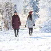 ‘My £10 Amazon buy stopped me slipping on ice – a winter game changer’