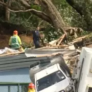 New Zealand Campsite Landslide Horror: Screams Fade to Silence as Rescuers Search