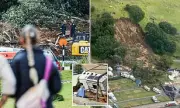 New Zealand Landslide Search Could Take Days as Nine Remain Missing