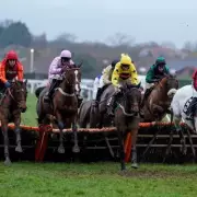 Newsboy's Monday Racing Tips: Plumpton Nap and Wolverhampton Best Bet