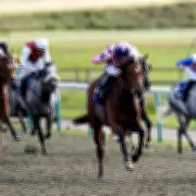 Newsboy's Thursday Racing Tips: Poke The Bear and Mutley Crew Lead Selections