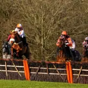 Newsboy's Tuesday Racing Tips: Grenadier Jed Nap at Chepstow