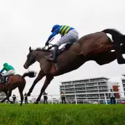 Newsboy's Wednesday Racing Tips: Two Four-Timers Targeted at Newbury & Lingfield