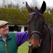 Nicky Henderson Funds Sprinter Sacre Surgery After GoFundMe Appeal Confusion