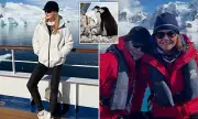 Nicole Kidman Finds Solace in Antarctica After Finalising Divorce