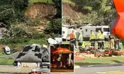 Nine Tourists Missing After New Zealand Landslide Horror at Mount Maunganui