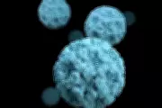 Norovirus Hospitalisations Surge 15% in England: Symptoms and Prevention Guide