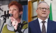 One Nation Ties Coalition in Polls: 23% Back Hanson's Anti-Immigration Surge