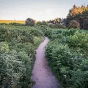 Osmotherley: A Historic North Yorkshire Village with Three Pubs and a 1397 Priory
