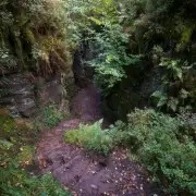 Peak District's Lud's Church Walk Offers Tolkien-Esque Scenery for Families