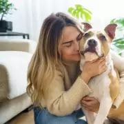 Pet Expert Reveals 5 Types of People Who Should Never Own a Dog