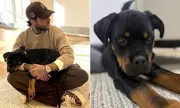 Pete Wicks Adopts Puppy Rodney After Heartbreaking Loss of Dog Peggy