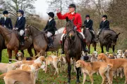 Poll: 62% of Britons Back Jail Terms for 'Reckless' Trail Hunting