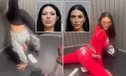 Porn Stars Arrested After Drunken Plane Ruckus and Splits at Miami Airport