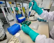 Porton Down 'limbo' harms vital security science, warns senior whistleblower