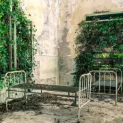 Poveglia: Venice's Forbidden Ghost Island Where Thousands Perished