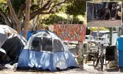 Rare Tropical Disease Leptospirosis Found in California Homeless Encampments