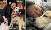 RecipeTin Eats Founder Nagi Maehashi's Heartbreaking Update on Beloved Dog Dozer's Health