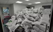 Record £24m Cannabis Haul Seized in Bolton Farm Raid