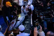 Record-Breaking $3.2 Million Tuna Sold at Japan's New Year Auction