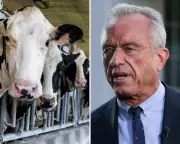 RFK Jr's Meat-Heavy Dietary Guidelines Spark Climate Concerns