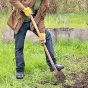 RHS Issues Critical January Lawn Care Warning: Avoid Frosty Footprints